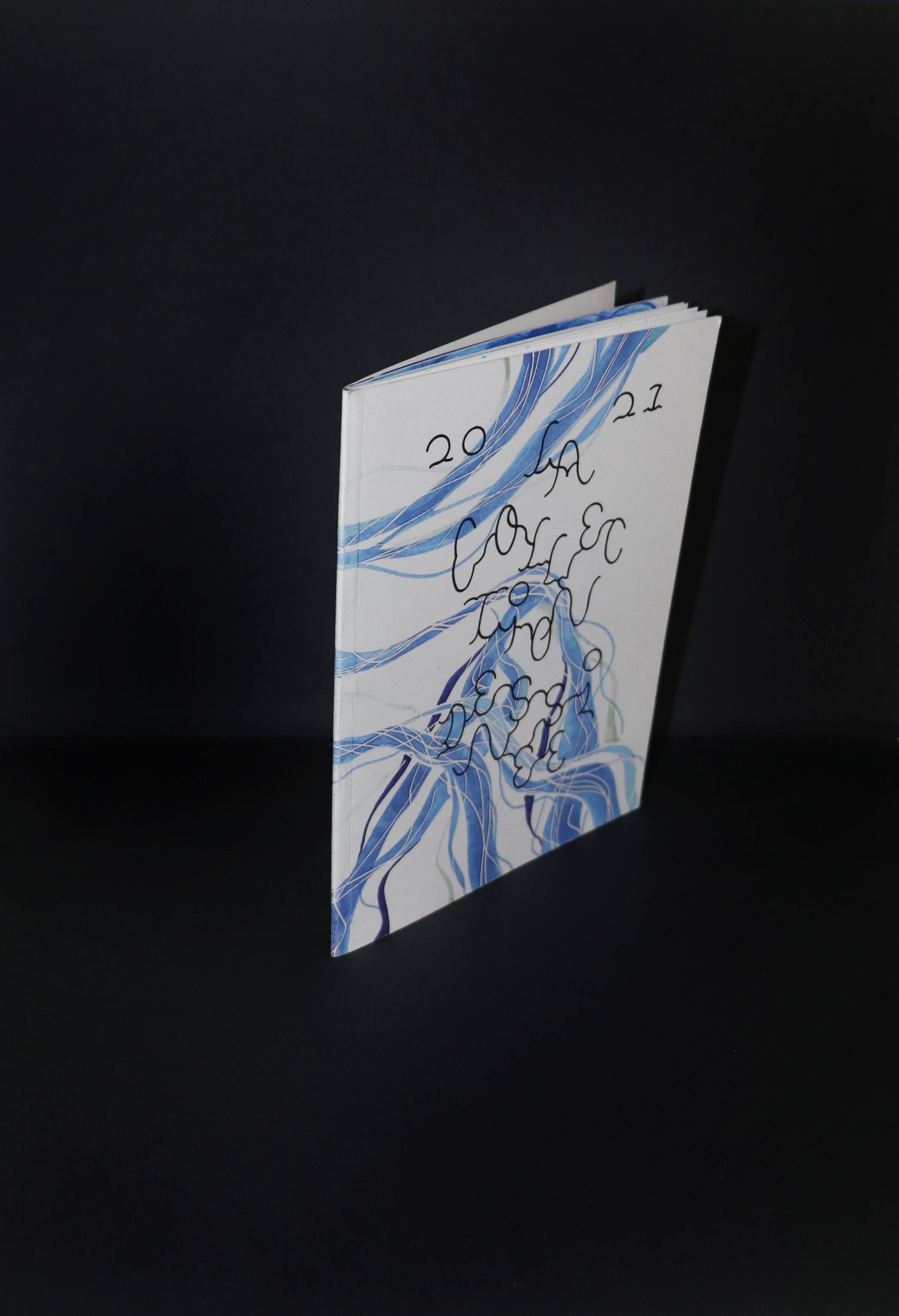 Photo d’un petit livre fin relié avec un dos collé. On le voit de 3/4. Sur la couverture il est écrit : « 20 – 21, La collection dessinée ». Le fond est blanc avec des lignes abstraites bleues.