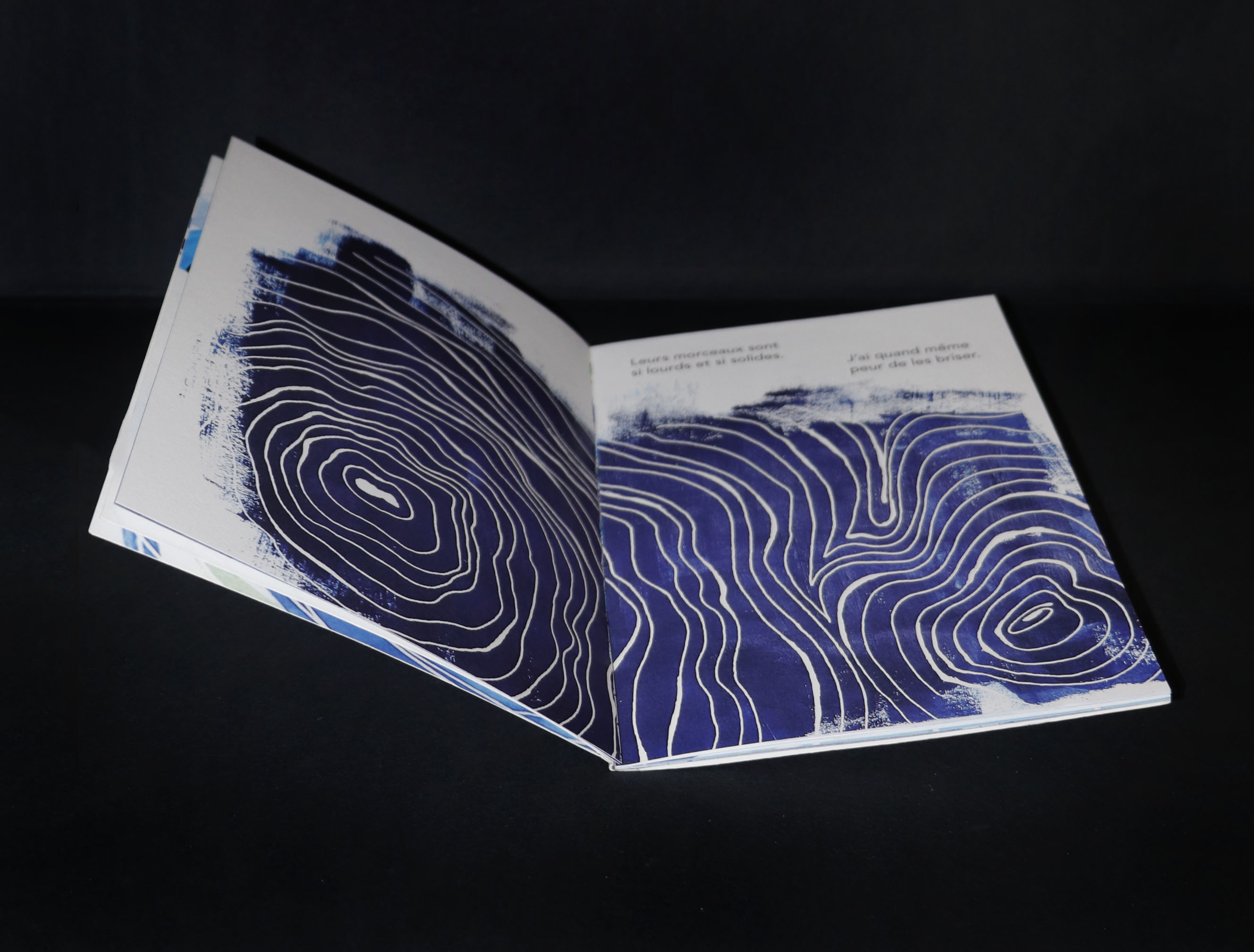 Photo du livre ouvert et couché. On voit dedans une forme bleu foncé avec des lignes blanches.