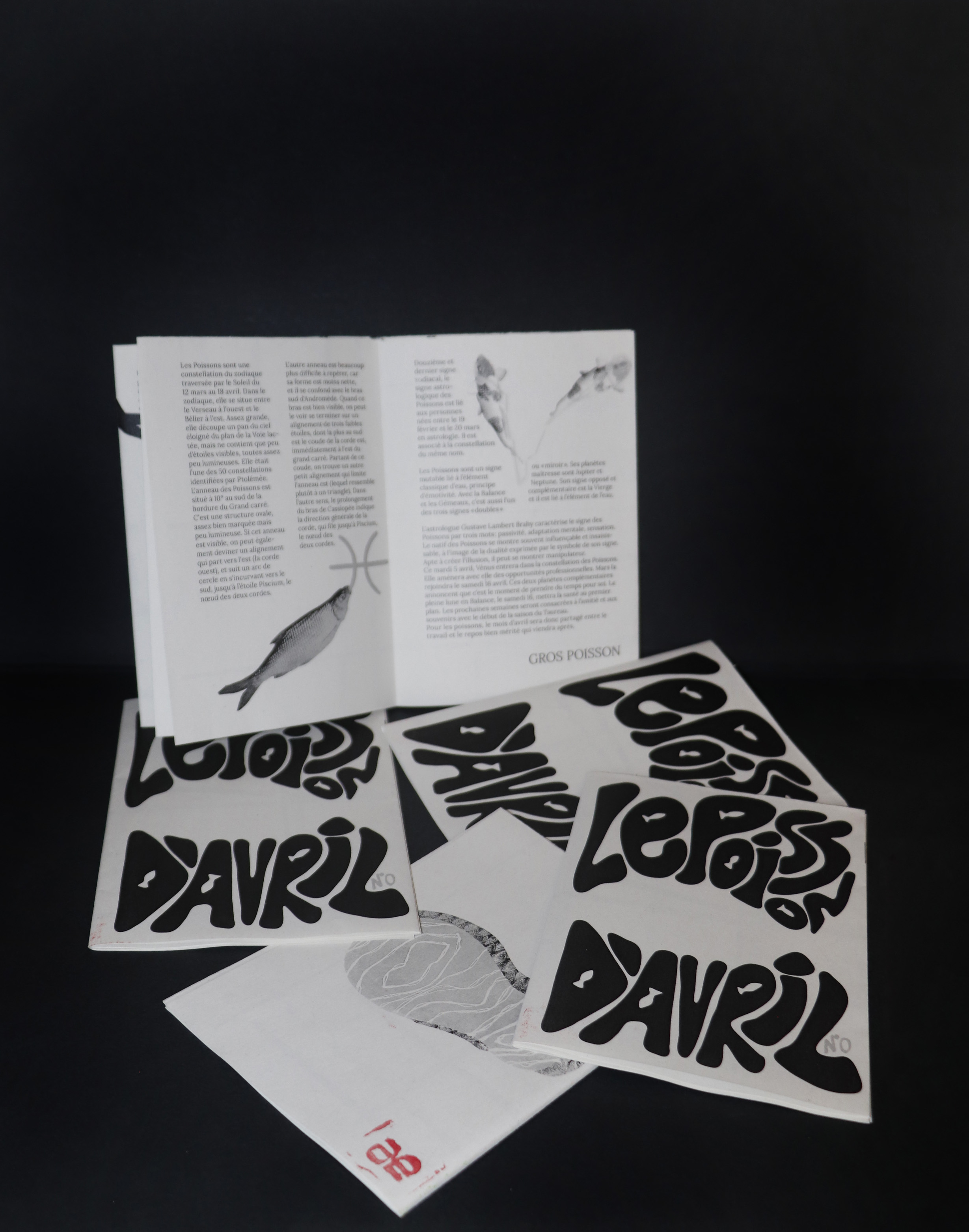 Photo de plusieurs fanzines. 4 sont couchés et on peut voir le titre « Poisson d’avril ». Le blanc laissé par la typographie est en forme de poisson. Un fanzine est debout, ouvert sur une page avec du texte et des collages en noir et blanc.